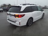 New 2025 Honda Odyssey Elite image 4
