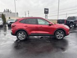 New 2025 Ford Escape ST-Line Select w/ Tech Pack #1 image 4