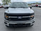 New 2025 Ford F150 XLT w/ Equipment Group 301A Standard image 3
