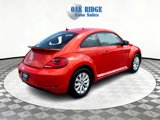 Used 2019 Volkswagen Beetle 2.0T S image 5