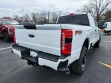 New 2025 Ford F250 XL image 3