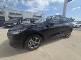Used 2024 Ford Escape ST-Line image 2