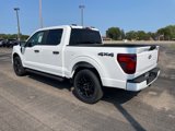 New 2024 Ford F150 STX w/ STX Black Appearance Package image 3