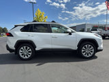 Certified 2025 Toyota RAV4 XLE Premium image 2