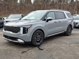 New 2025 Kia Carnival SX image 3