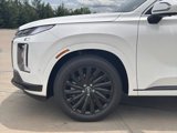 New 2025 Hyundai Palisade Calligraphy image 4