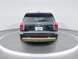 New 2025 Hyundai Palisade Calligraphy image 5