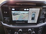 New 2025 Ford F150 XLT w/ Equipment Group 302A MID image 5