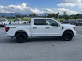 New 2025 Ford F150 STX image 5