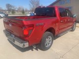 New 2025 Ford F150 XLT w/ Equipment Group 302A MID image 6