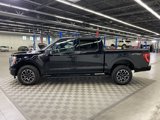 Used 2023 Ford F150 XLT w/ Equipment Group 302A High image 5