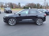 New 2025 Ford Escape Platinum w/ Premium Technology Package image 2