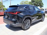 New 2025 Lexus NX 250 FWD w/ Premium Package image 5
