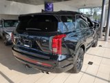 New 2025 Hyundai Palisade Calligraphy image 3