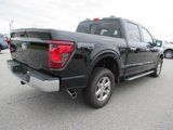 New 2025 Ford F150 XLT w/ Equipment Group 302A MID image 5