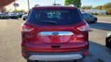 Used 2014 Ford Escape SE w/ SE Chrome Package image 4
