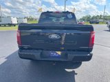 Certified 2024 Ford F150 STX image 5