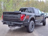 New 2025 Ford F150 Raptor image 4