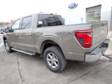 New 2025 Ford F150 XLT w/ Equipment Group 302A MID image 3