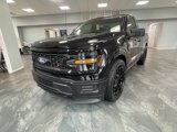 New 2025 Ford F150 XL image 5
