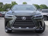 New 2026 Lexus NX 350 AWD w/ Luxury Package image 3