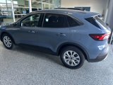 Certified 2024 Ford Escape Active image 4