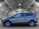 Used 2014 Ford Escape SE w/ Equipment Group 201A image 2