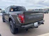 New 2025 Ford F150 Raptor image 3