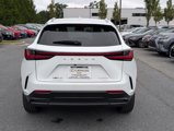 New 2026 Lexus NX 350 AWD w/ Premium Package image 3