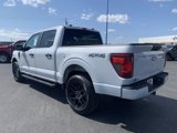 New 2025 Ford F150 STX w/ STX Black Appearance Package image 3