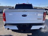 Used 2022 Ford F150 Tremor w/ Equipment Group 401A Mid image 3