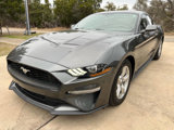 Used 2019 Ford Mustang Coupe image 4
