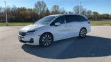 New 2025 Honda Odyssey Elite image 4