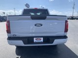 New 2025 Ford F150 STX w/ STX Black Appearance Package image 4