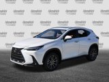 Used 2025 Lexus NX 350 AWD w/ Premium Package image 5