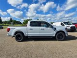 New 2025 Ford F150 XLT w/ Equipment Group 302A MID image 4