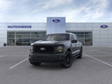New 2025 Ford F150 STX w/ STX Black Appearance Package image 2