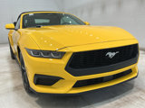 Certified 2024 Ford Mustang Premium image 5