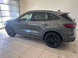 New 2025 Ford Escape ST-Line Elite w/ Premium Technology Package image 3