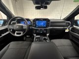 New 2025 Ford F150 XLT image 3