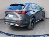New 2025 Lexus NX 350 F Sport image 5