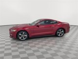 Used 2016 Ford Mustang Coupe w/ Equipment Group 051A image 5