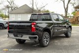 New 2025 Chevrolet Silverado 1500 LT w/ Texas Edition Plus image 6