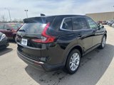 Certified 2024 Honda CR-V EX-L image 5