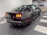 New 2025 Ford Mustang GT Premium w/ Mustang Nite Pony Package image 4