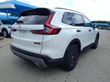 New 2026 Honda CR-V TrailSport image 3