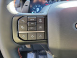 New 2025 Ford F150 Raptor image 5