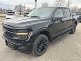 New 2025 Ford F150 XLT w/ Equipment Group 302A MID image 3