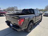 New 2025 Ford F150 XLT image 4