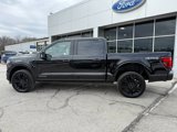 New 2025 Ford F150 Platinum w/ Equipment Group 702A High image 4